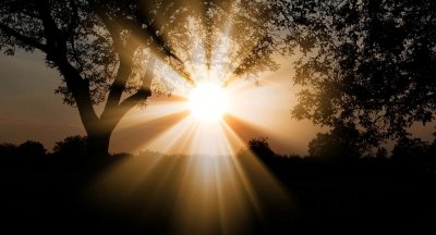 Sănătatea mintală: de ce vorbim despre ea?